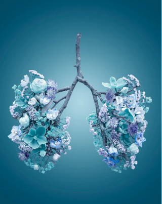 Capture d’écran 2026-01-12 205718